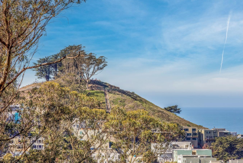 Forest Knolls, San Francisco, CA neighborhood